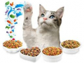 Cibo per gatti